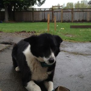 Meet your Posher, Courtney